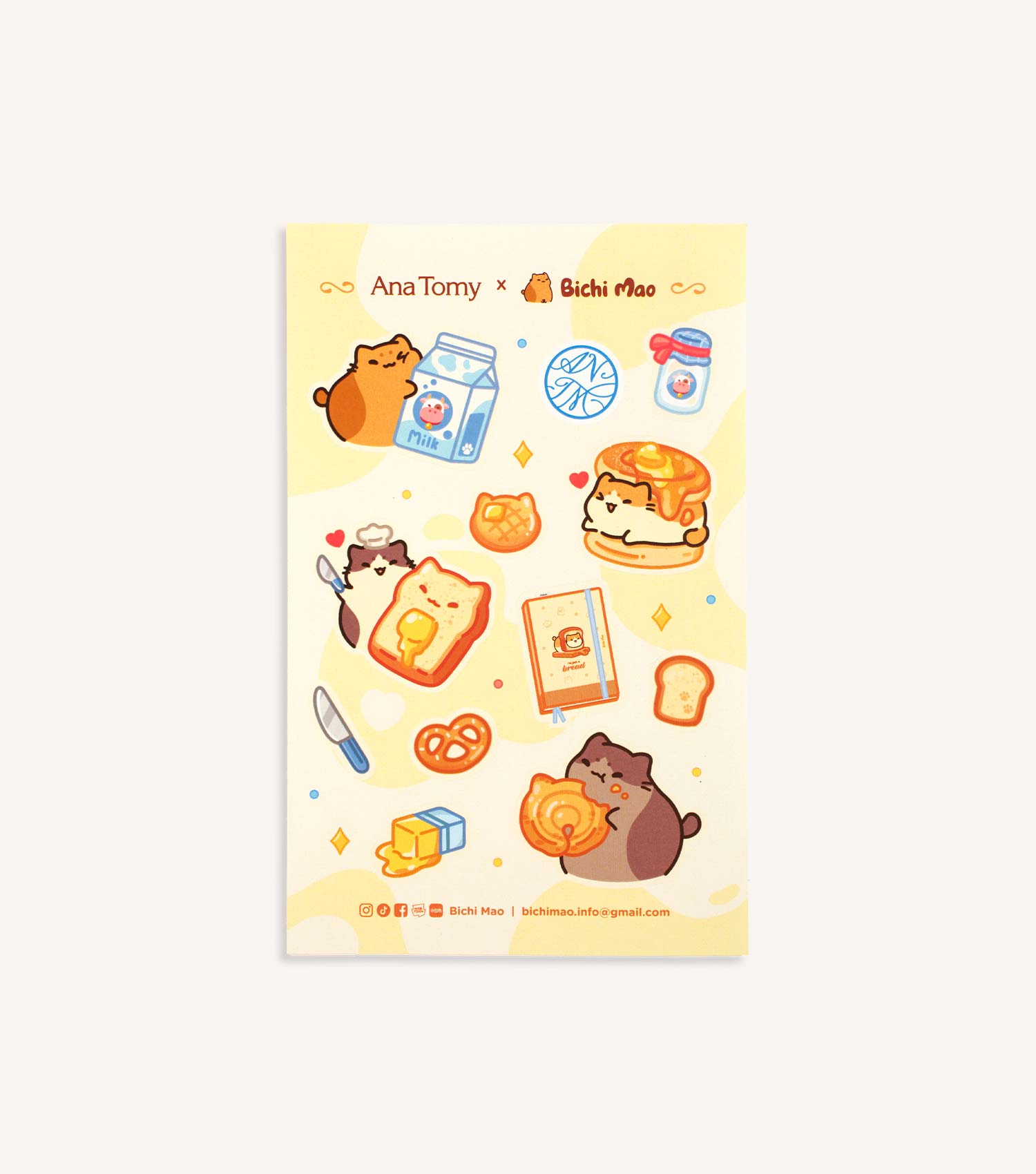 Bichi Mao 'Charcoal Mao'—A5s Trio Book