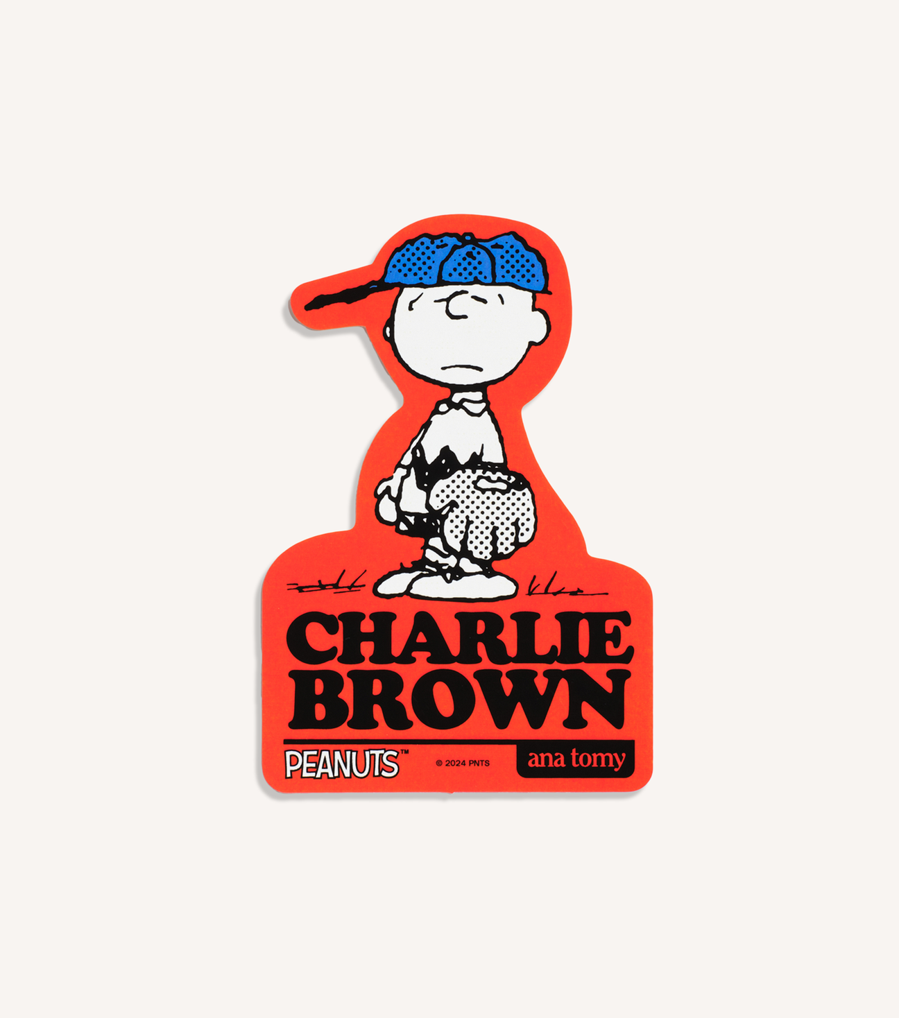 Peanuts™ 'Charlie Brown'—Sticker – Ana Tomy